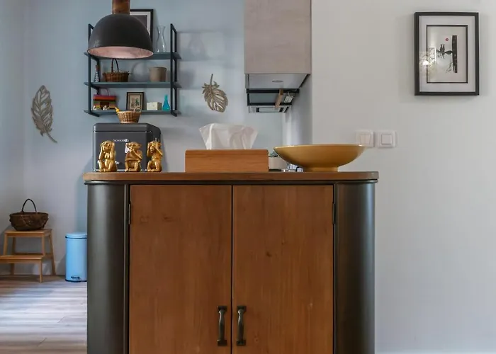 Le Petit George V - Design Proche Thermes * Vichy